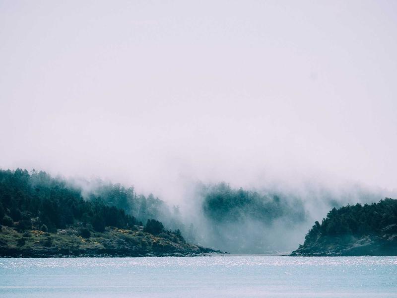 sudoku multiplayer mode screenshot 1